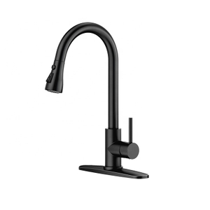 LVTIAN APS247 Matte Black 304 Stainless Steel Kitchen Faucets With Pull Out Spout