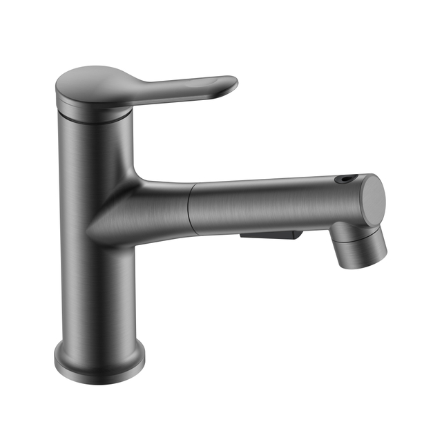 Bathroom Faucet with Pull Out Sprayer Black Stainless Bathroom Faucets