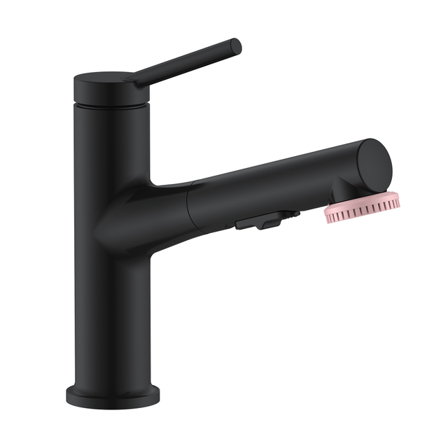 Matte Black Basin Faucet Black Bathroom Faucet with Beauty Brush